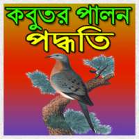 কবুতর পালন পদ্ধতি