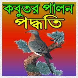 কবুতর পালন পদ্ধতি 0.0.1