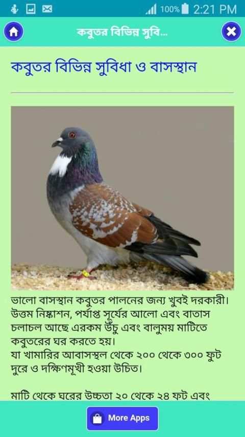 কবুতর পালন পদ্ধতি скриншот 3