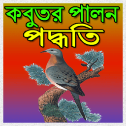 কবুতর পালন পদ্ধতি иконка
