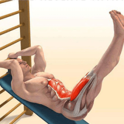 Training Exercise Tutorials أيقونة