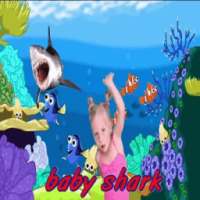 Baby Shark Video Dance