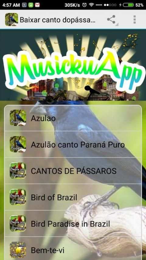 Baixar canto dopássaro azulão screenshot 5