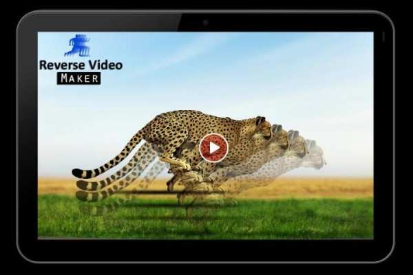 Reverse Video Maker स्क्रीनशॉट 6