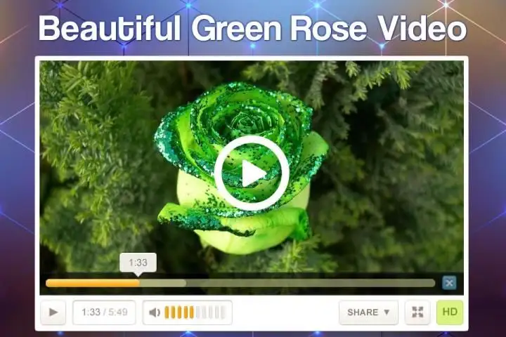 Full HD Video Player screenshot 1