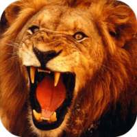 Lion 3D Live Wallpaper on 9Apps