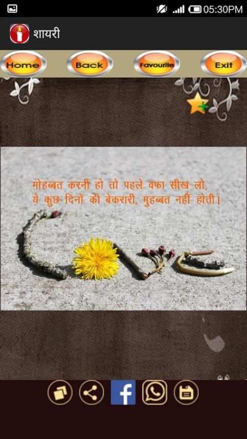 Shayari (Hindi) - शायरी screenshot 4