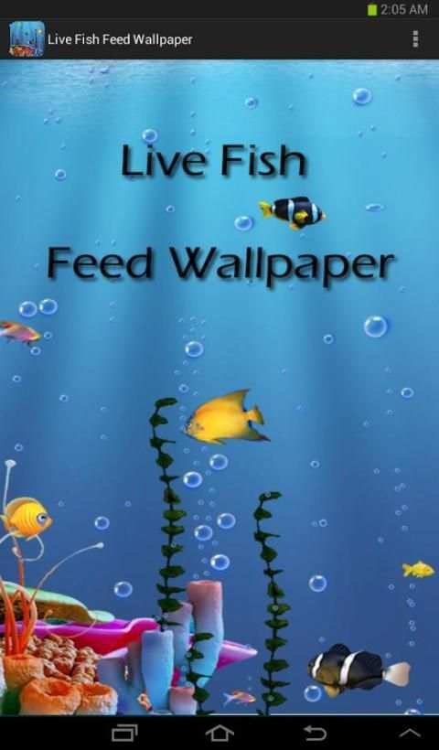 Live Fish Feed Wallpaper स्क्रीनशॉट 1