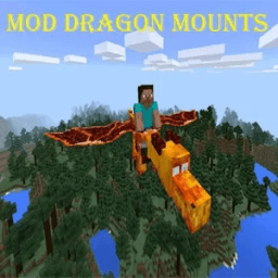 MOD Dragon Mounts أيقونة
