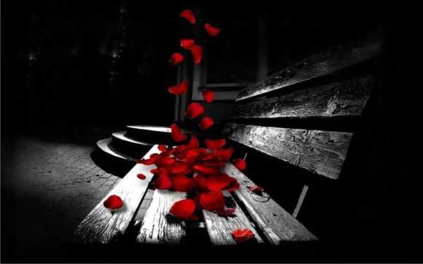 Red Rose Petals Live Wallpaper screenshot 3