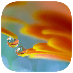 Photo Word Search أيقونة