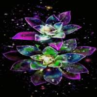 Abstract Magical Flowers LWP