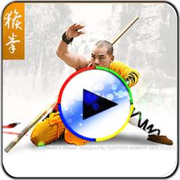 KungFu Videos 1.1.0