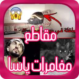 جديد مغامرات ياسا في البحرين - متجدد 1.0