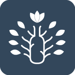 ikon Sober Tree - Quit Alcohol Addiction