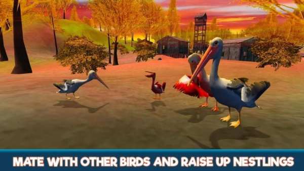 Pelican Bird Simulator 3D screenshot 3