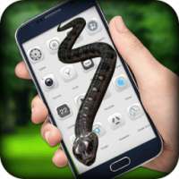 Snake On Screen - Snake Screen on 9Apps