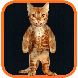 Real Talking Cat иконка