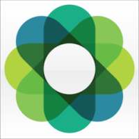Burst иконка