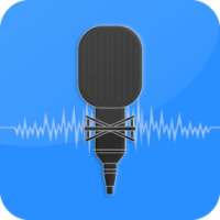 Voice FX