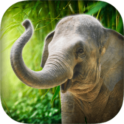 ikon Real Talking Elephant