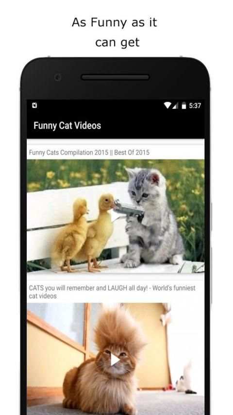 Funny Cat Videos screenshot 1
