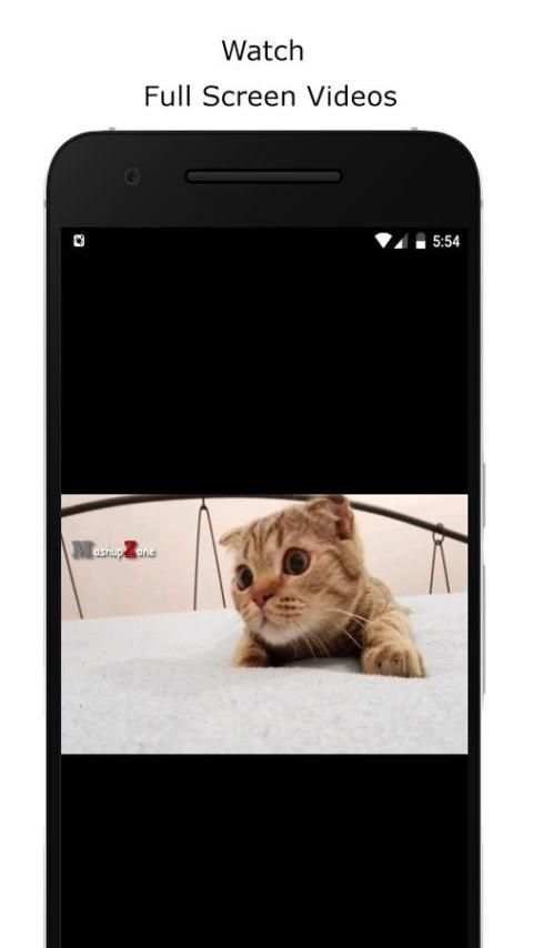 Funny Cat Videos screenshot 2