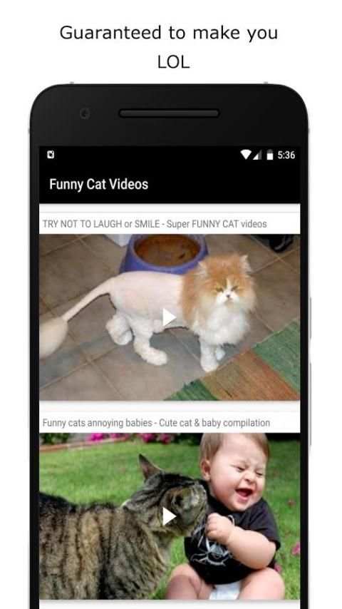 Funny Cat Videos screenshot 4