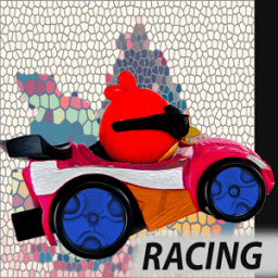 Adventure Angry Super Birds Race icon