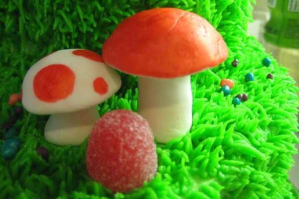 Mushroom Live Wallpaper 2 تصوير الشاشة