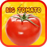 Big Tomato