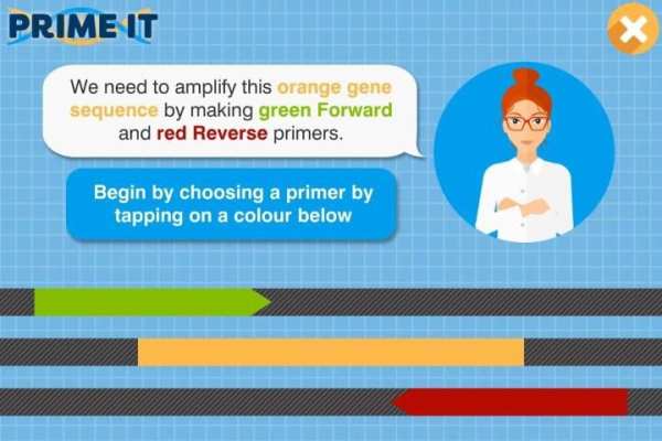 Prime It DNA Game screenshot 5