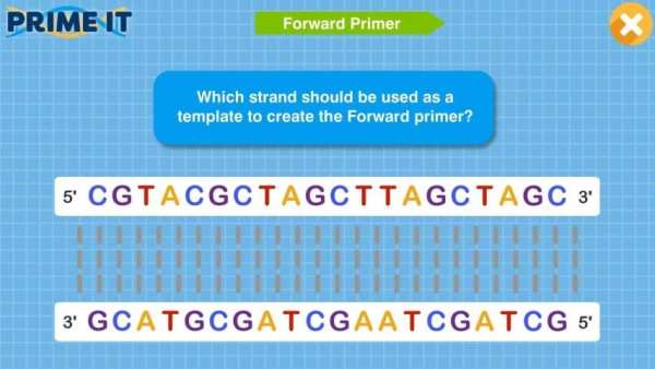 Prime It DNA Game screenshot 10