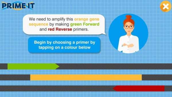 Prime It DNA Game screenshot 11