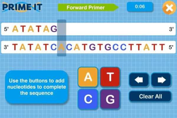 Prime It DNA Game screenshot 3
