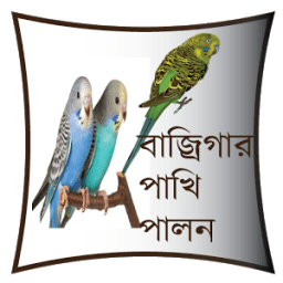 Bajrigar-- বাজ্রিগার পাখি পালন icon