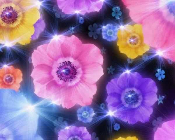 صور ورود متحركه GIF screenshot 6