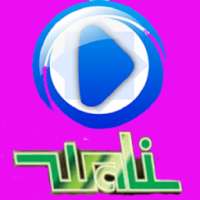Video Wali Band Terlengkap on 9Apps
