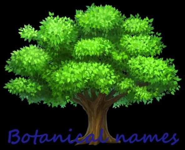 Botanical Names स्क्रीनशॉट 1