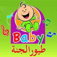 طيور الجنة Baby