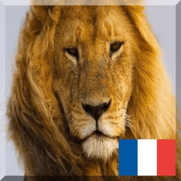 French animals names आइकन