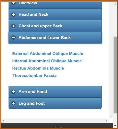 Muscular System(Anatomy) скриншот 5