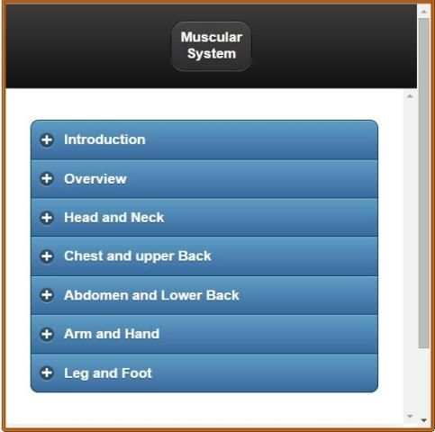 Muscular System(Anatomy) скриншот 8
