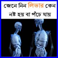 জেনে নিন লিভার কেন নষ্ট হয় বা পঁচে যায়