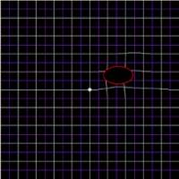 AMD, A Metamorphopsia Detector