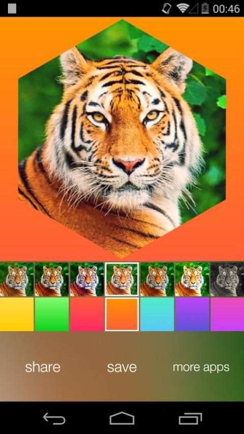 Insta Shape Pro स्क्रीनशॉट 3