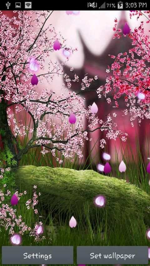Sakura Live Wallpaper स्क्रीनशॉट 1