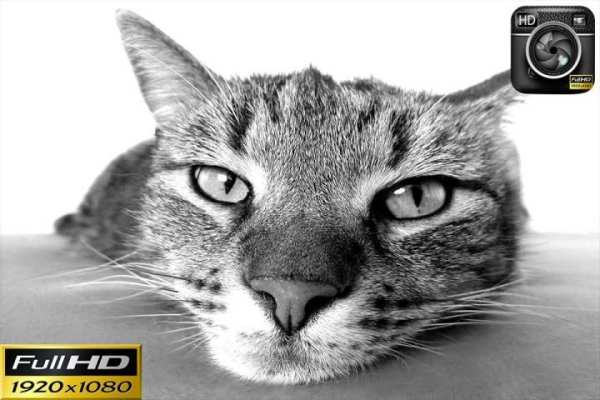 Professional HD Camera DSLR screenshot 1