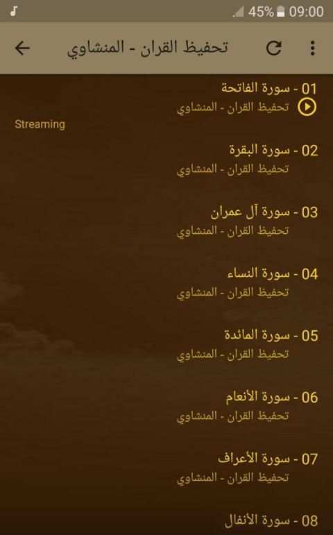 تحفيظ القران - المنشاوي screenshot 4