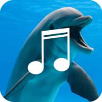 Relaxing Dolphin Sounds on 9Apps